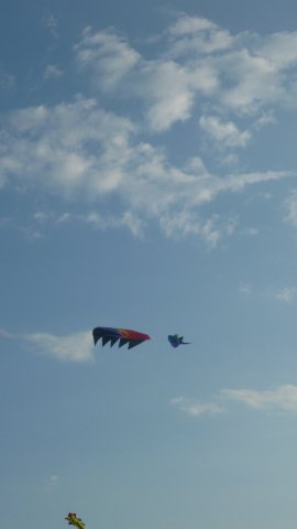 P1000635