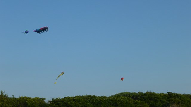 P1000641